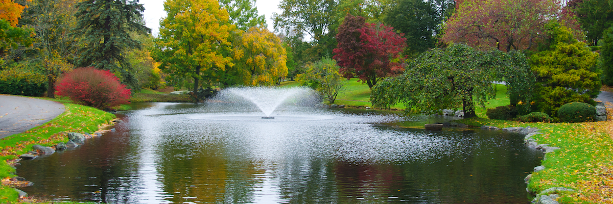 Photo of fountain amidst fall foliage.